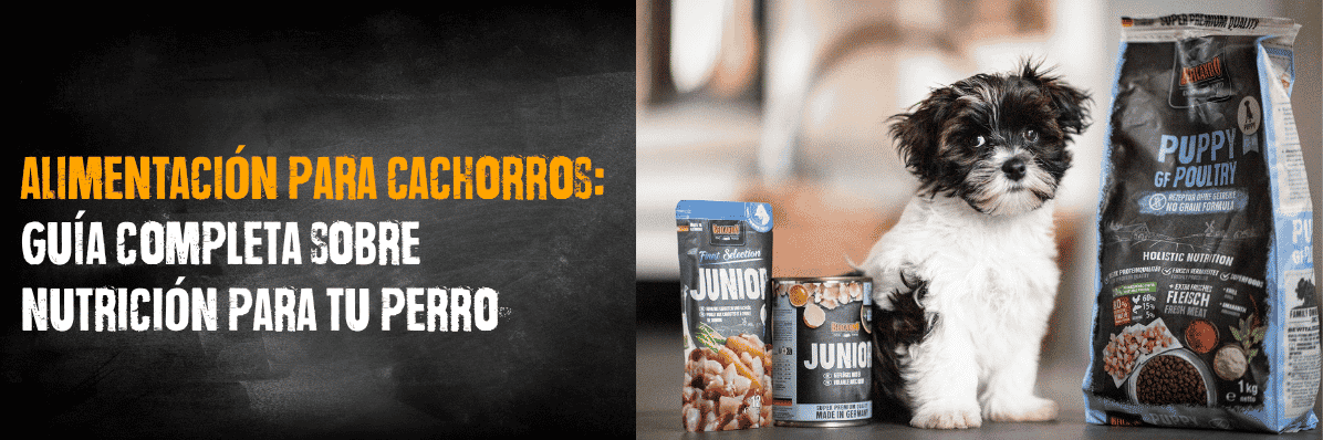 alimentación para cachorros